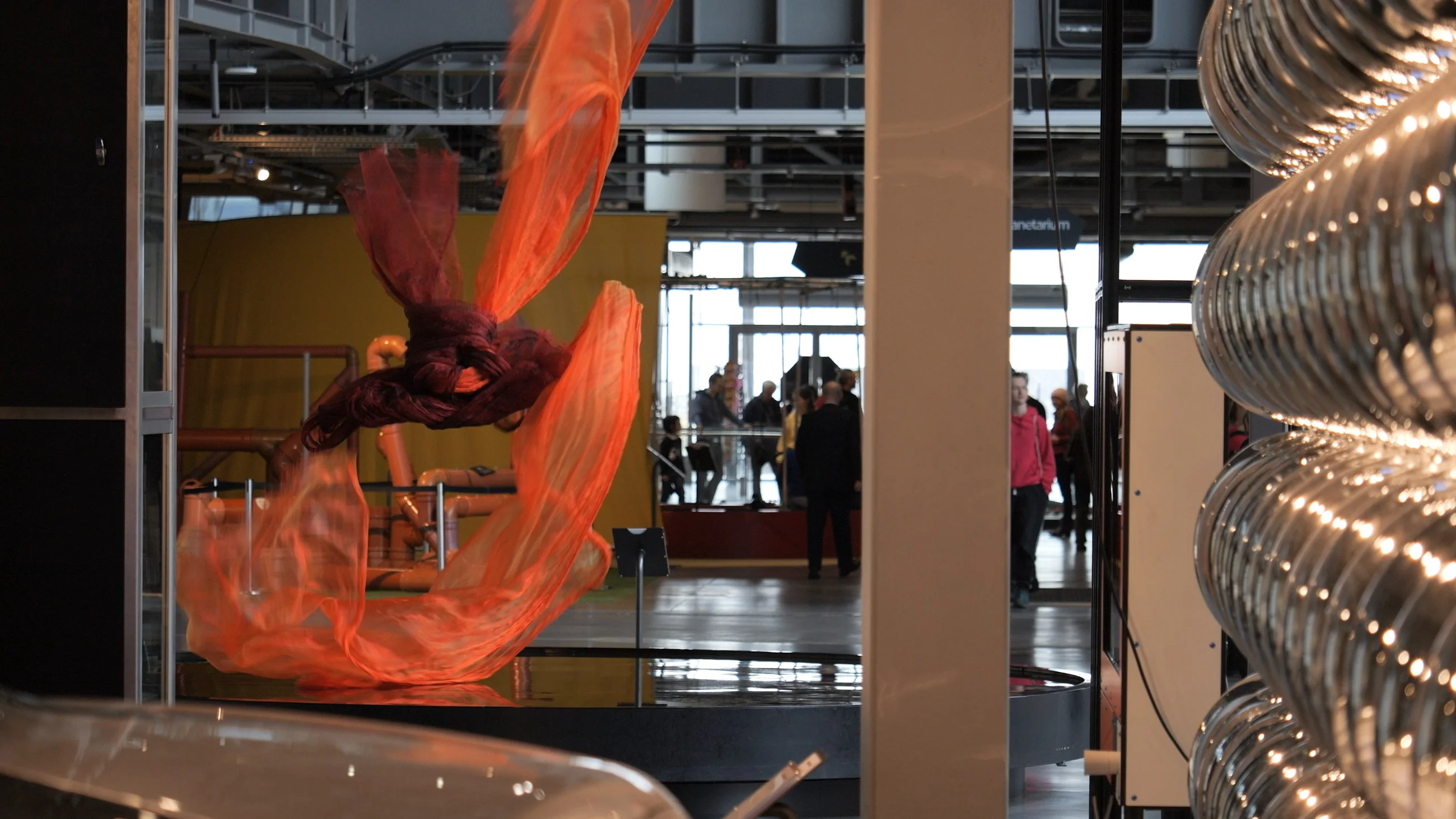 Interaktywny eksponat biologiczny